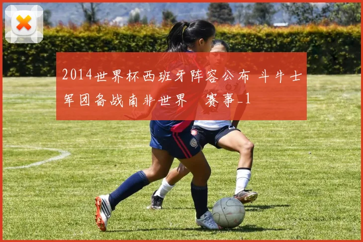2014世界杯西班牙阵容公布 斗牛士军团备战南非世界盃赛事_1