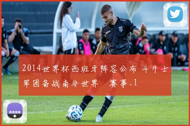 2014世界杯西班牙阵容公布 斗牛士军团备战南非世界盃赛事_1
