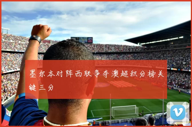 墨尔本对阵西联争夺澳超积分榜关键三分